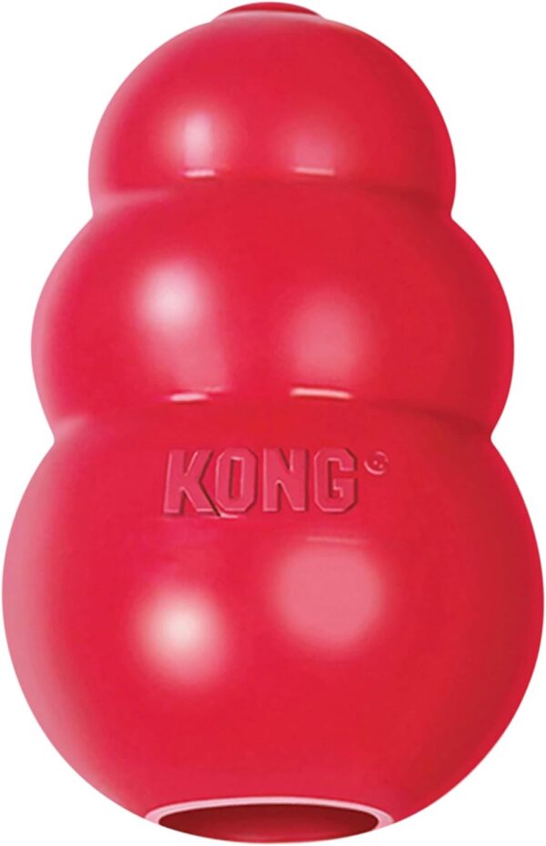 KONG Clásico XL - Image 5