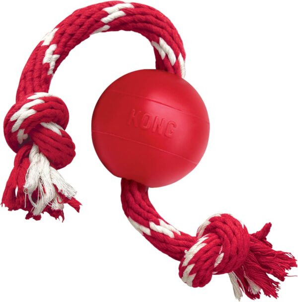 KONG® Ball w/Rope Sm KB21 - Image 2